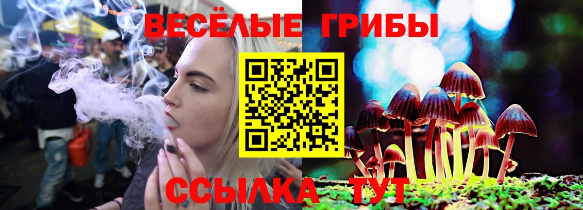 хочу   Псилоцибиновые грибы Psilocybine cubensis  Вход с VPN  Псилоцибиновые грибы Psilocybine cubensis  Чайковский 